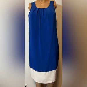 Sleeveless Royal Blue and White women’s  Colorblock Shift Dress size 6